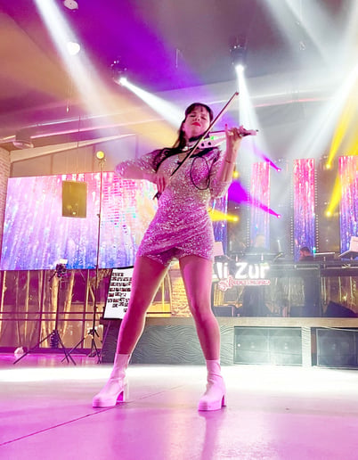 Gallery photo 4 of Carmit Violin
