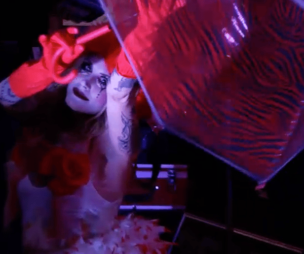 Gallery photo 3 of Carnal Circus