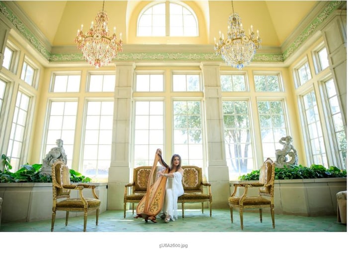Gallery photo 2 of Carol Tatum, Harpist (Austin/Dallas/Ft. Worth)