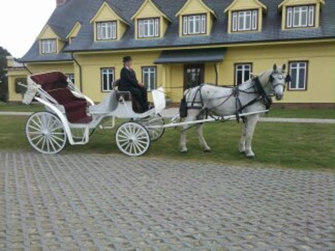 Gallery photo 5 of Carolina Carriages