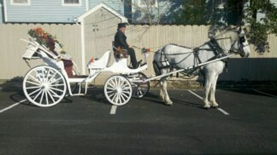 Gallery photo 9 of Carolina Carriages