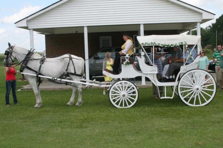 Gallery photo 10 of Carolina Carriages
