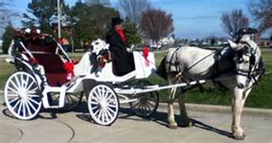 Gallery photo 2 of Carolina Carriages