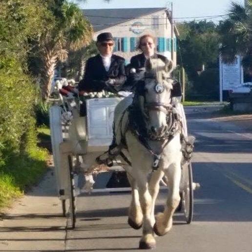 Gallery photo 1 of Carolina Carriages