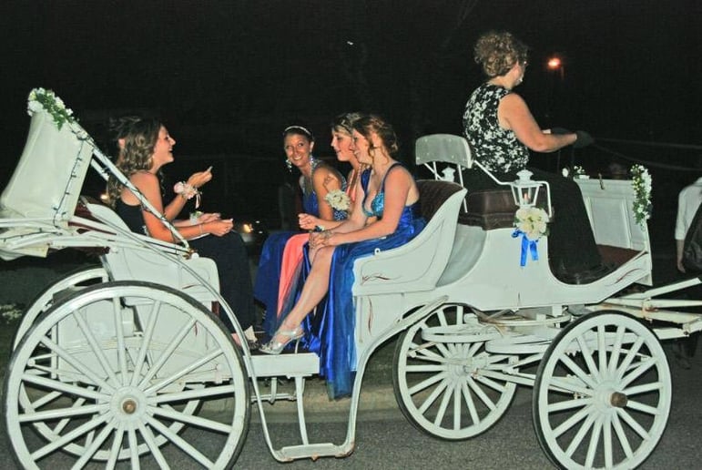 Gallery photo 7 of Carolina Carriages