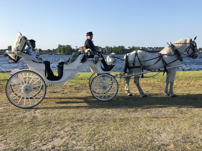 Gallery photo 3 of Carolina Carriages
