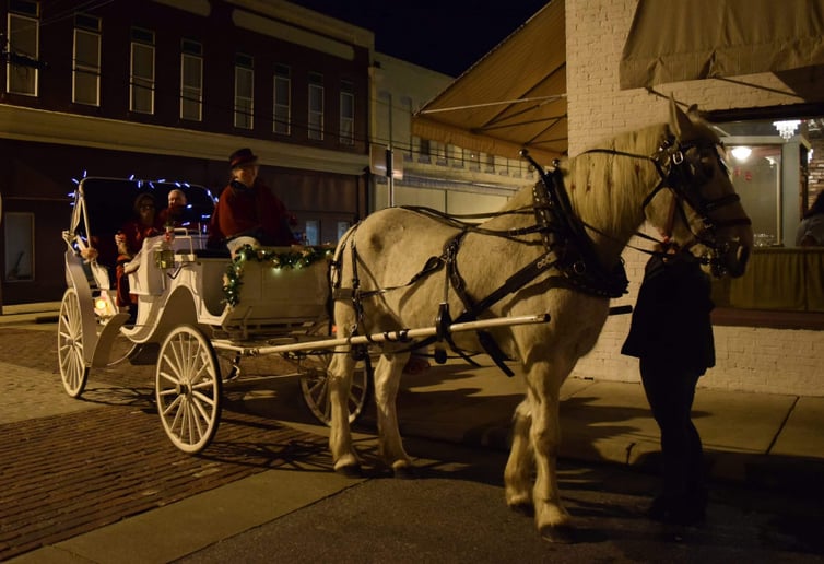 Gallery photo 8 of Carolina Carriages