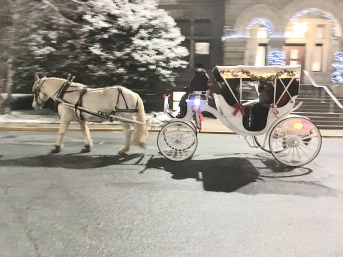 Gallery photo 4 of Carolina Carriages