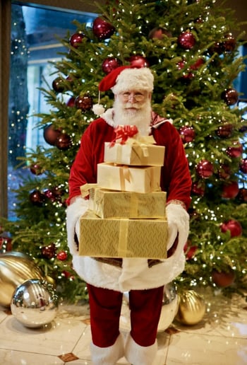 Gallery photo 25 of Carolina Santa Carter