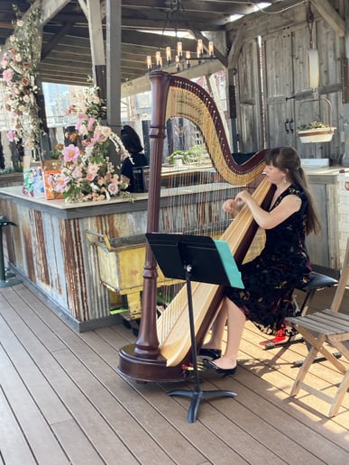 Gallery photo 2 of Caroline Robinson Harpist