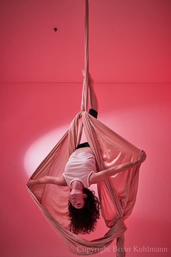 Gallery photo 3 of Caroline Rose Aerial