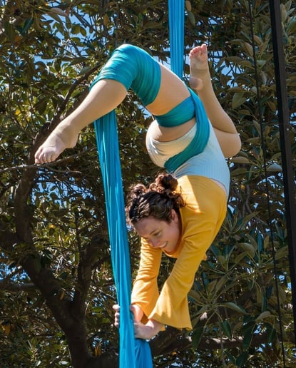 Gallery photo 5 of Caroline Rose Aerial