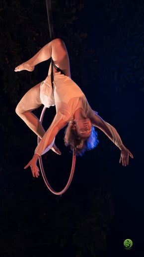 Gallery photo 6 of Caroline Rose Aerial