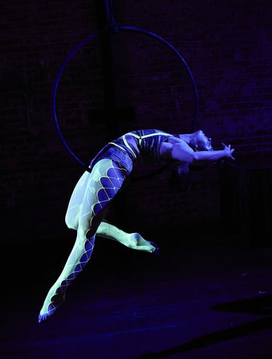 Gallery photo 9 of Caroline Rose Aerial