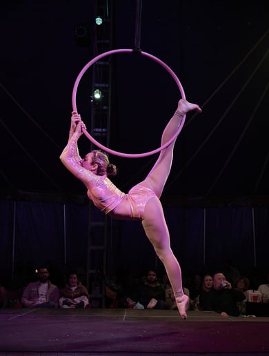 Gallery photo 10 of Caroline Rose Aerial