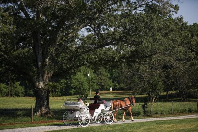 Gallery photo 1 of Carriage Run Carriage Service