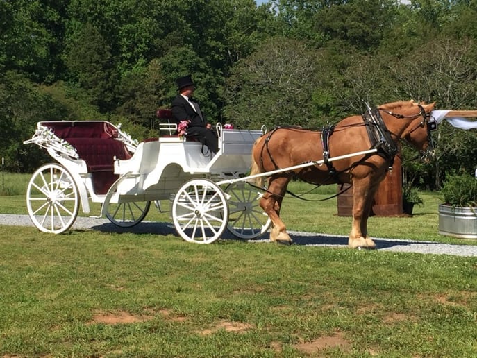 Gallery photo 2 of Carriage Run Carriage Service