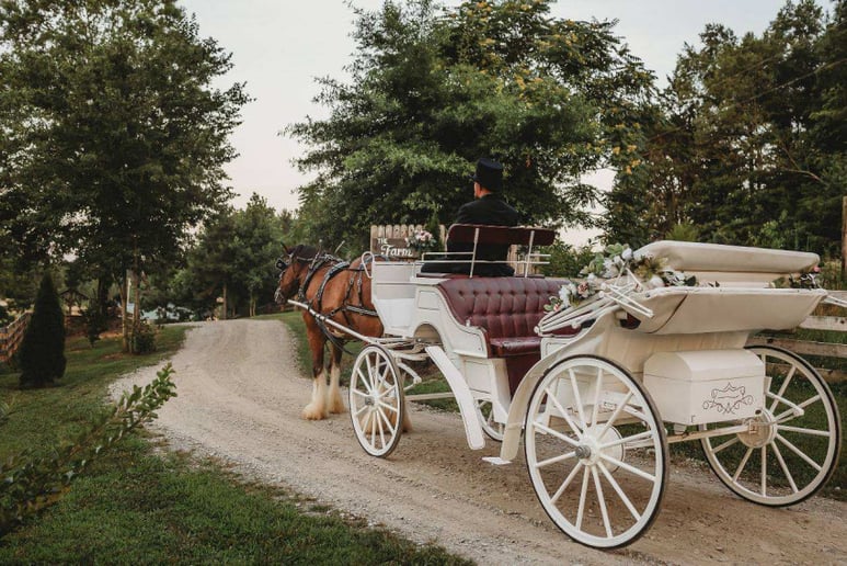 Gallery photo 5 of Carriage Run Carriage Service
