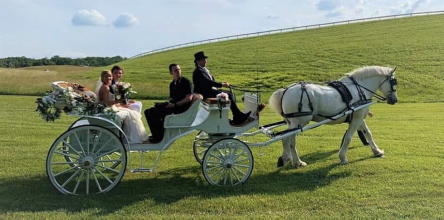 Gallery photo 5 of Carriages of the Capital
