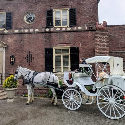 Gallery photo 6 of Carriages of the Capital