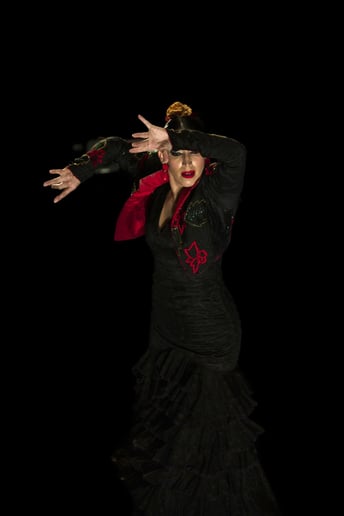 Gallery photo 1 of Casa Triana Flamenco Show