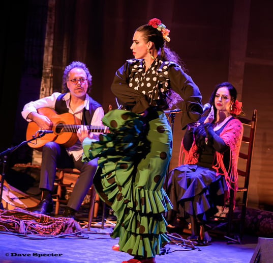 Gallery photo 8 of Casa Triana Flamenco Show
