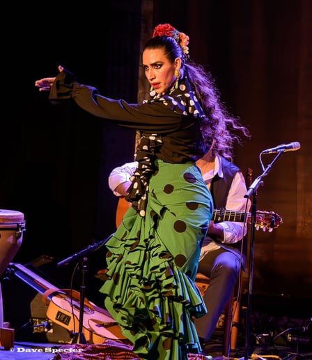 Gallery photo 10 of Casa Triana Flamenco Show
