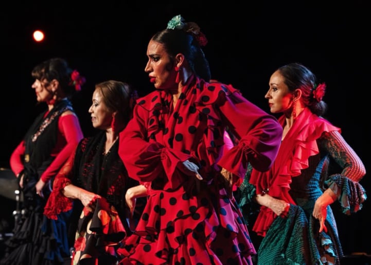 Gallery photo 11 of Casa Triana Flamenco Show