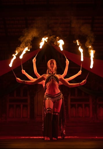 Gallery photo 1 of Casey Lee - Fire Spectacular