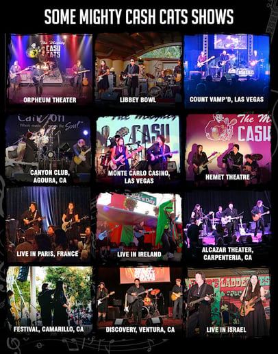 Gallery photo 6 of Mighty Cash Cats Johnny Cash Show