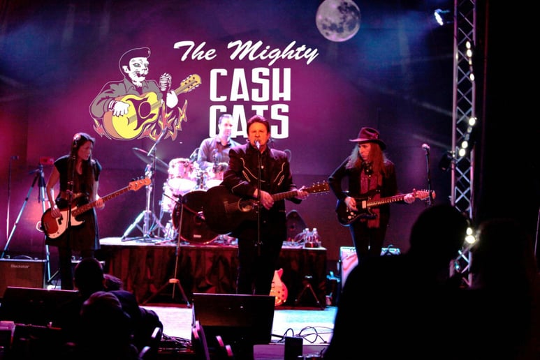 Gallery photo 3 of Mighty Cash Cats Johnny Cash Show