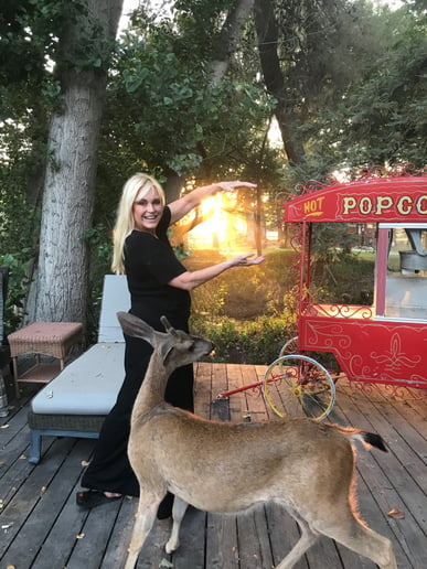 Gallery photo 11 of Catherine Hickland's Mind Amazements