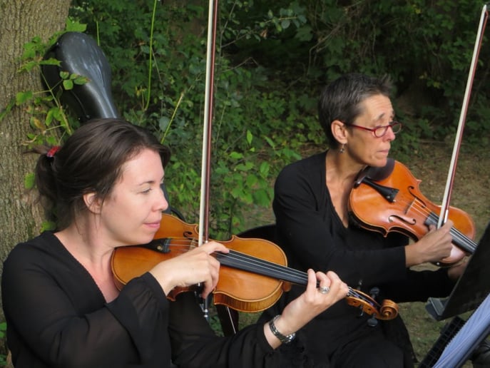 Gallery photo 2 of Cavatina String Quartet