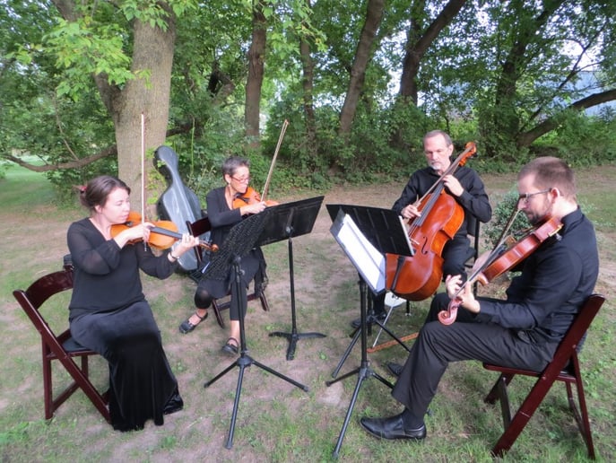 Gallery photo 1 of Cavatina String Quartet