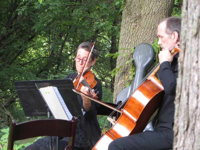 Gallery photo 3 of Cavatina String Quartet