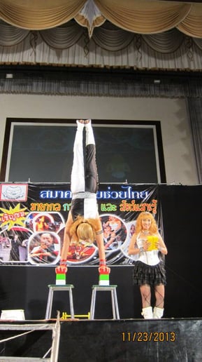 Gallery photo 5 of Cecile and Mighty