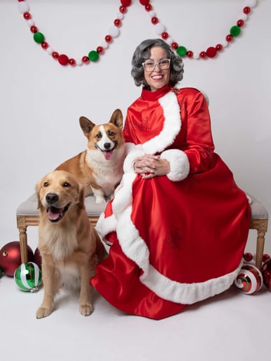 Gallery photo 5 of Cheeky Fun Miss Santa Claus and more