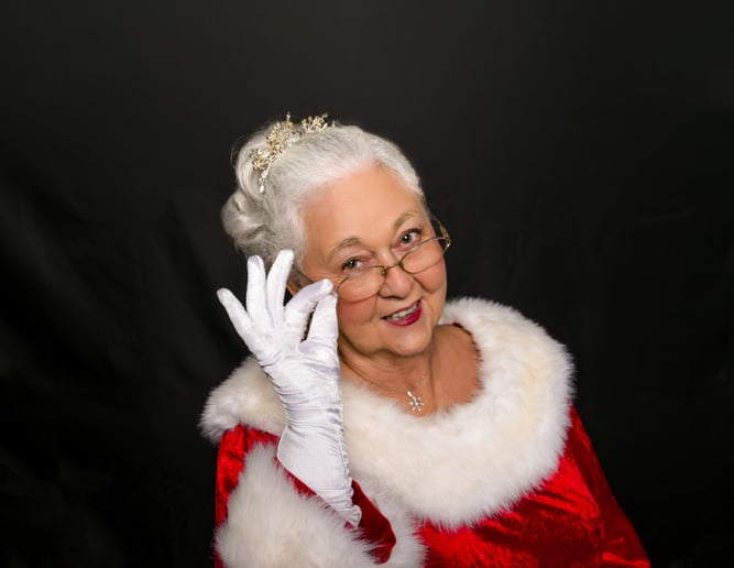 Gallery photo 1 of Celebrate with Mrs Claus, offered by Ellen Streich