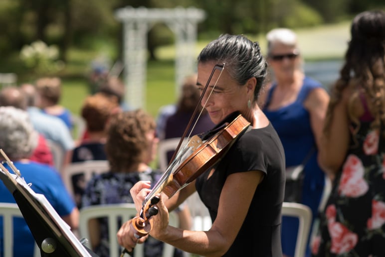 Gallery photo 2 of Celebratory Strings