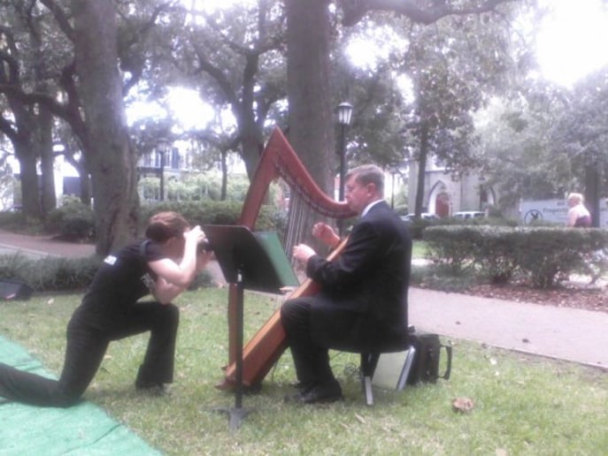 Gallery photo 2 of Celestial Strings and Ceremonies Harpist