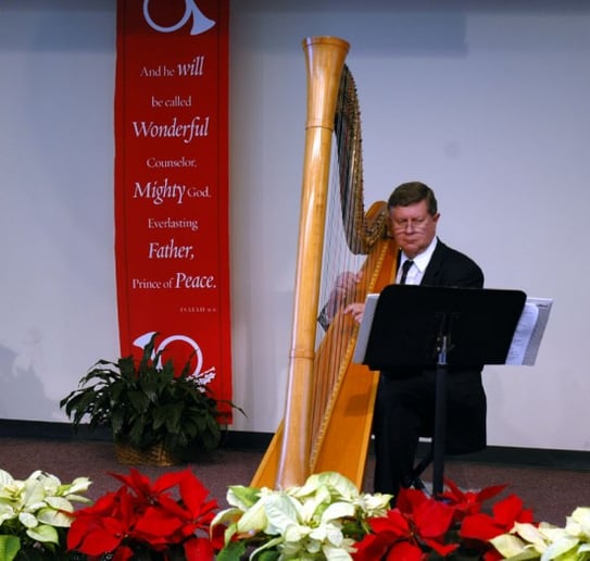 Gallery photo 5 of Celestial Strings and Ceremonies Harpist