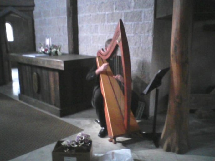 Gallery photo 6 of Celestial Strings and Ceremonies Harpist