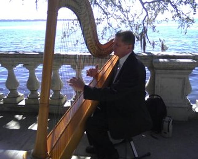 Gallery photo 10 of Celestial Strings and Ceremonies Harpist