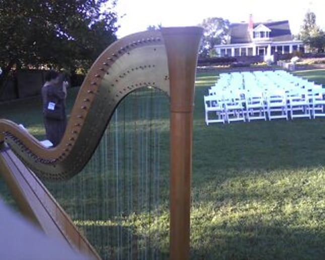 Gallery photo 11 of Celestial Strings and Ceremonies Harpist