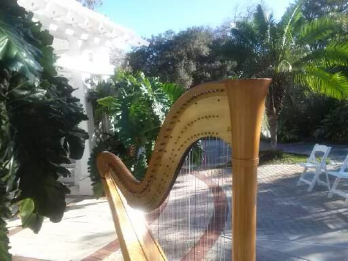 Gallery photo 12 of Celestial Strings and Ceremonies Harpist