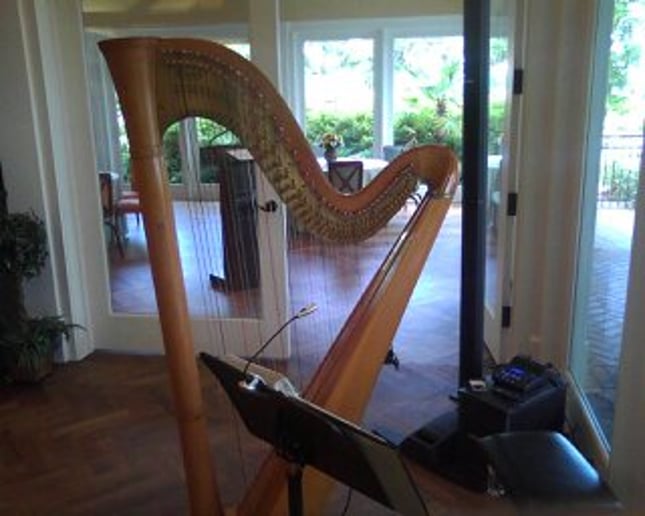 Gallery photo 13 of Celestial Strings and Ceremonies Harpist