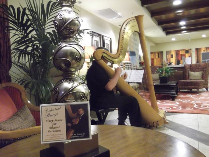 Gallery photo 14 of Celestial Strings and Ceremonies Harpist