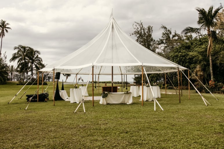 Gallery photo 9 of Celestial Weddings and Events