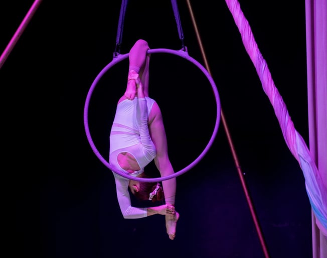Gallery photo 7 of Celia - Aerialist