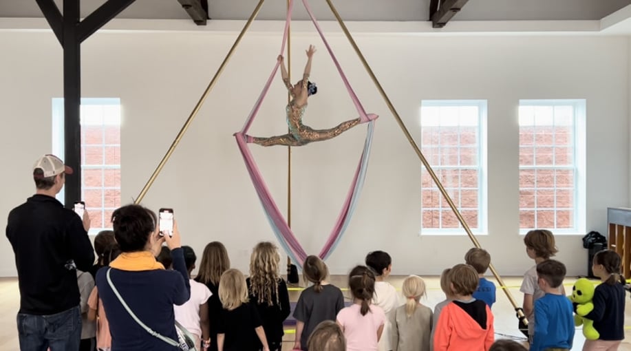 Gallery photo 8 of Celia - Aerialist